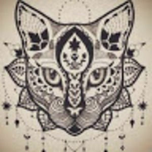 Meet your Posher, Cetara